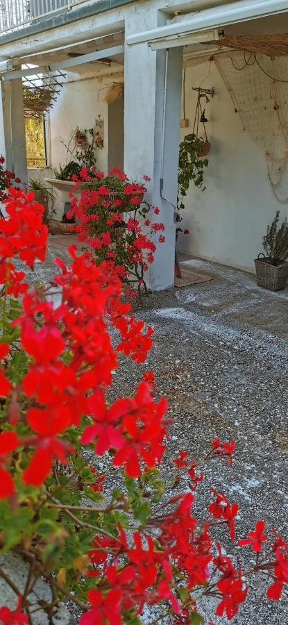 Magnolia Casa Di Campagna Costa Dei Trabocchi Рокка-Сан-Джованні Екстер'єр фото