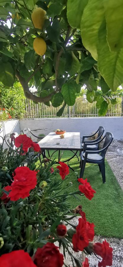 Magnolia Casa Di Campagna Costa Dei Trabocchi Рокка-Сан-Джованні Екстер'єр фото