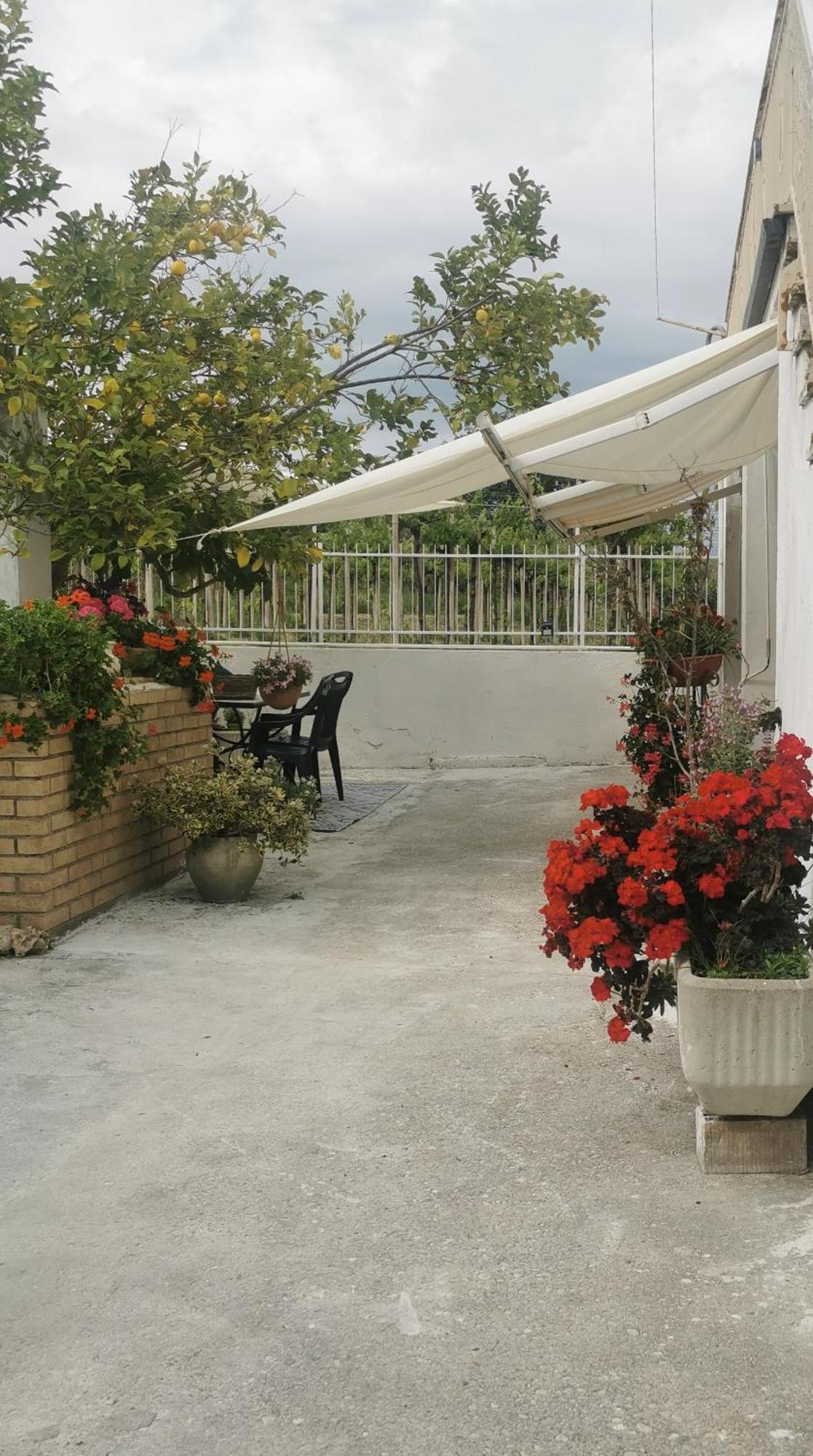 Magnolia Casa Di Campagna Costa Dei Trabocchi Рокка-Сан-Джованні Екстер'єр фото